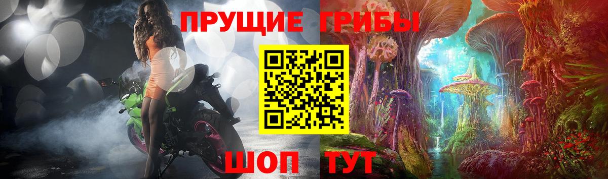 Псилоцибиновые грибы Psilocybe  Вход с VPN  Таганрог 