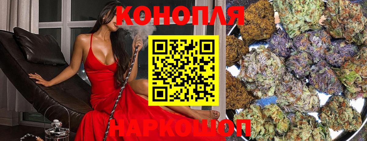 Бошки марихуана гибрид  Бошки Шишки планчик  Вход с VPN  Марихуана OG Kush  Таганрог 
